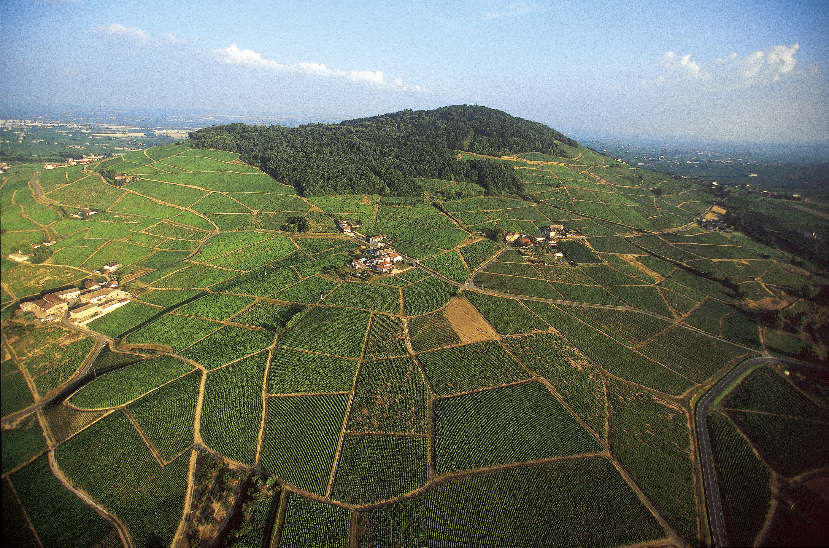 Franck Lechenet Inter Beaujolais